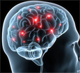 Tinnitus Causes